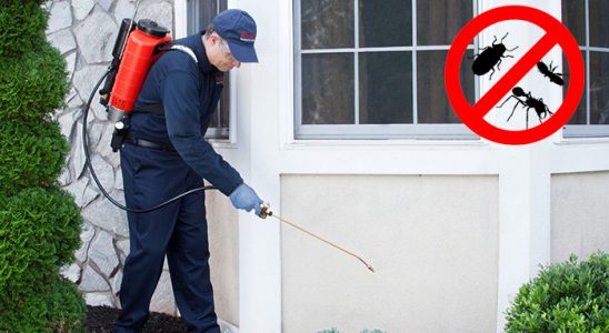 Hanak Hamam Böceği İlaçlama böcek ilaçlama ve haşere kontrolü — ilaclama-tr.com